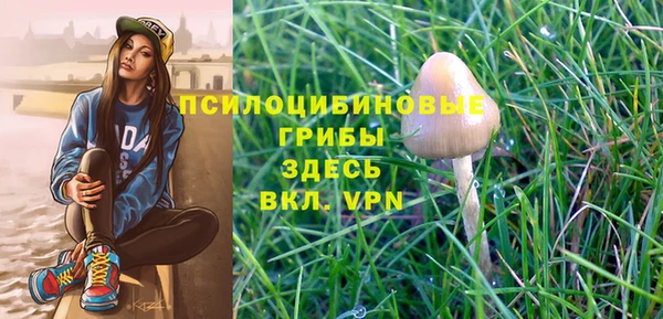 PSILOCYBIN Балахна